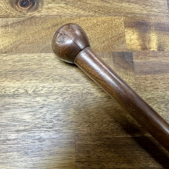 Walking Stick 4
